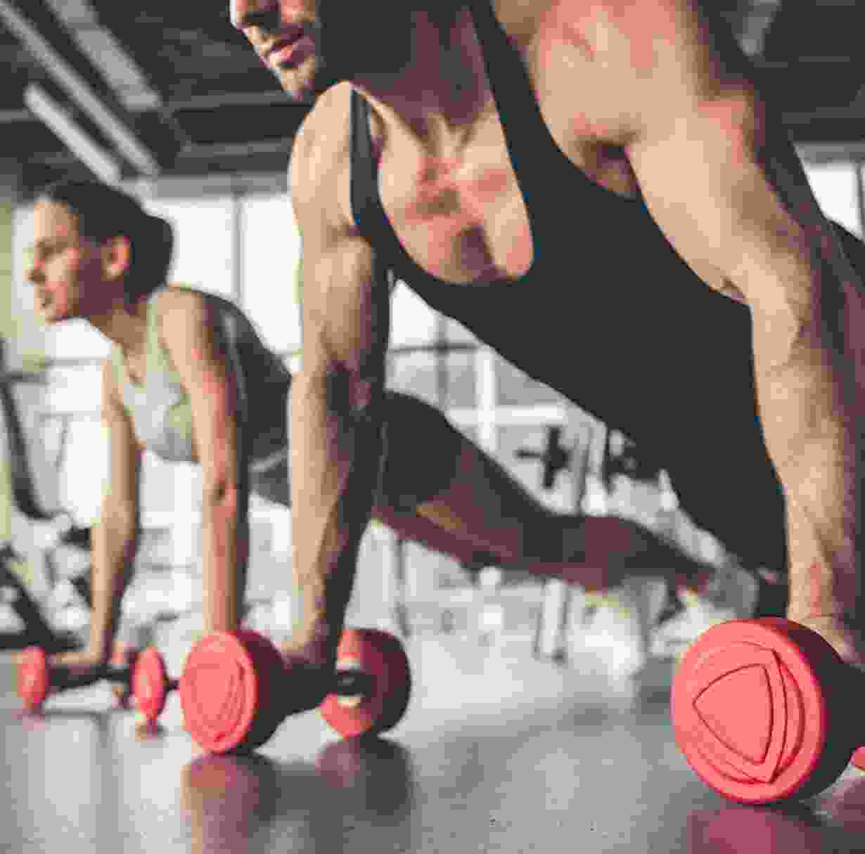 Proin venenatis felis